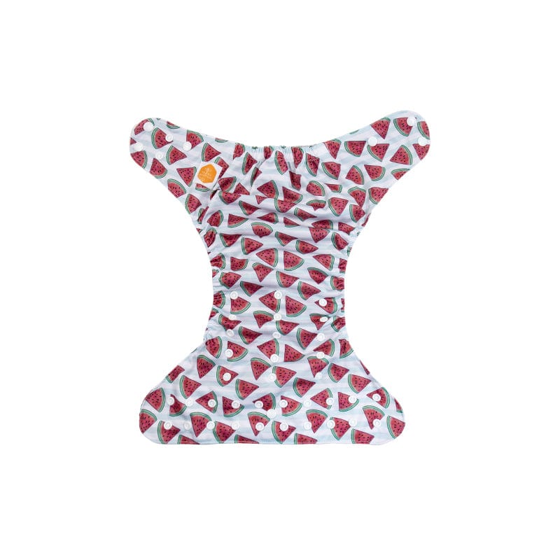 The "EZ" Pocket Diaper - Spring Fling Collection