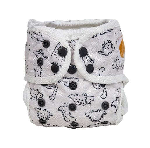 The "Bally" Newborn Diaper Cover - Spring Fling Collection