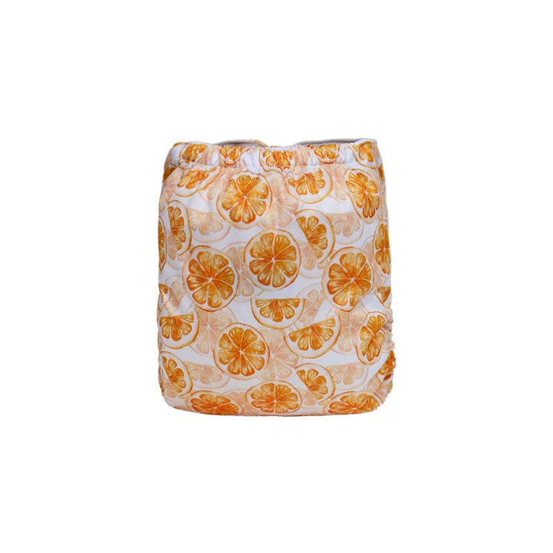 The "EZ" Pocket Diaper - Spring Fling Collection