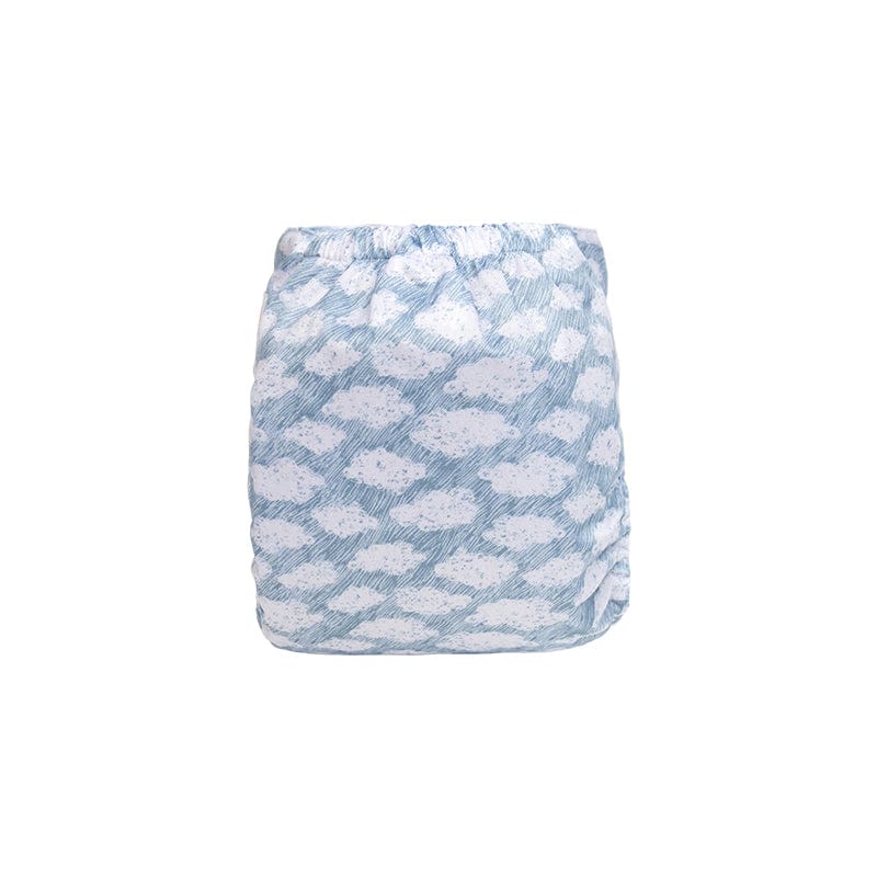 The "EZ" Pocket Diaper - Spring Fling Collection