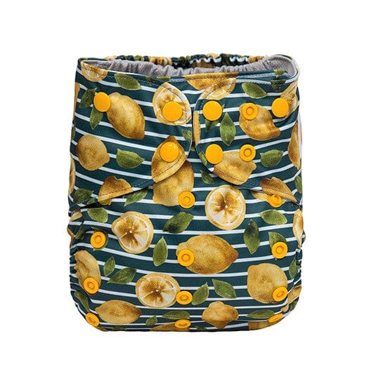 The "EZ" Pocket Diaper - Spring Fling Collection