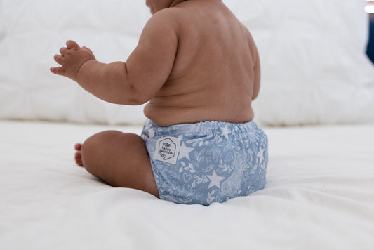 The "EZ" Pocket Diaper - Wintertide Collection