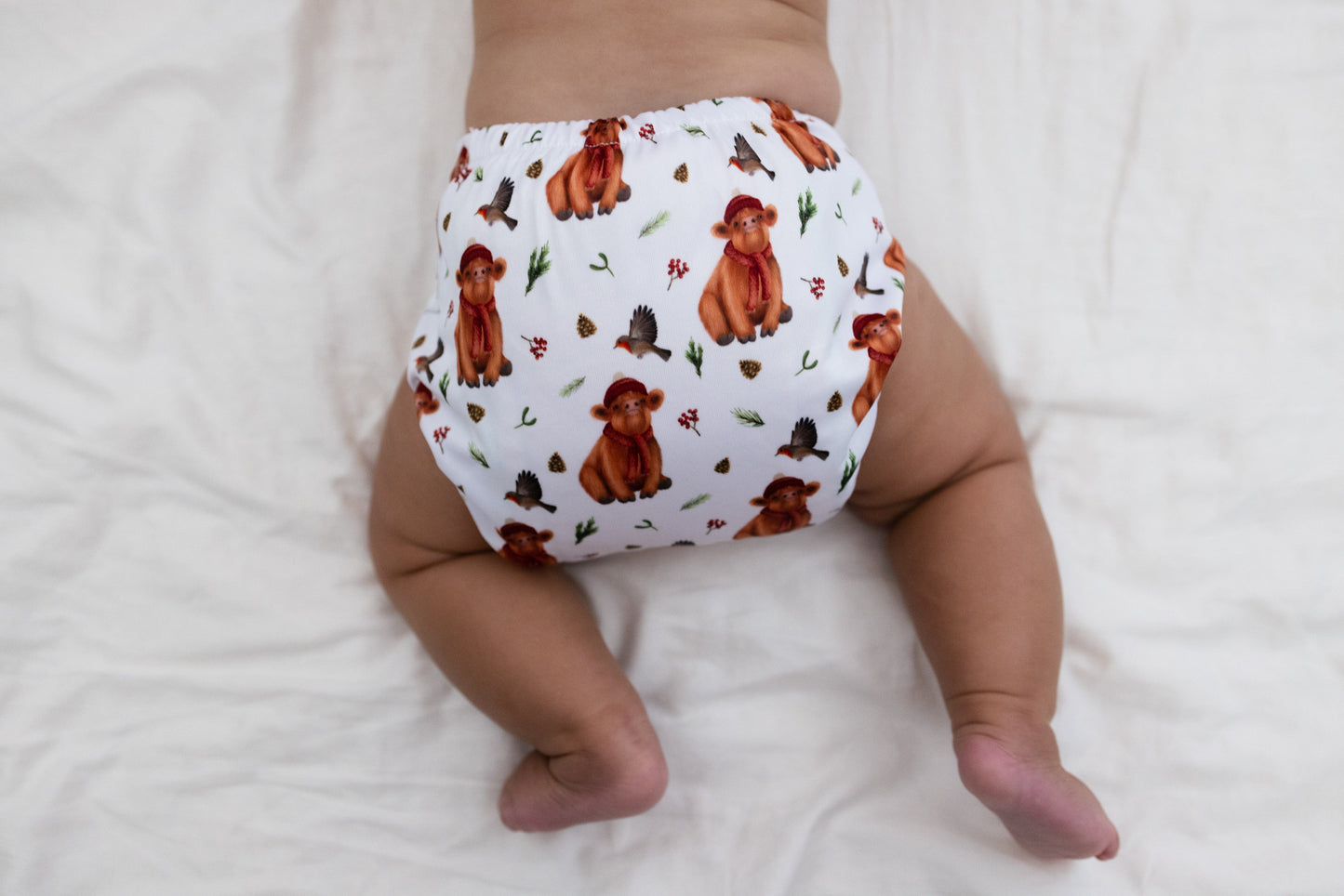 The "EZ" Pocket Diaper - Wintertide Collection