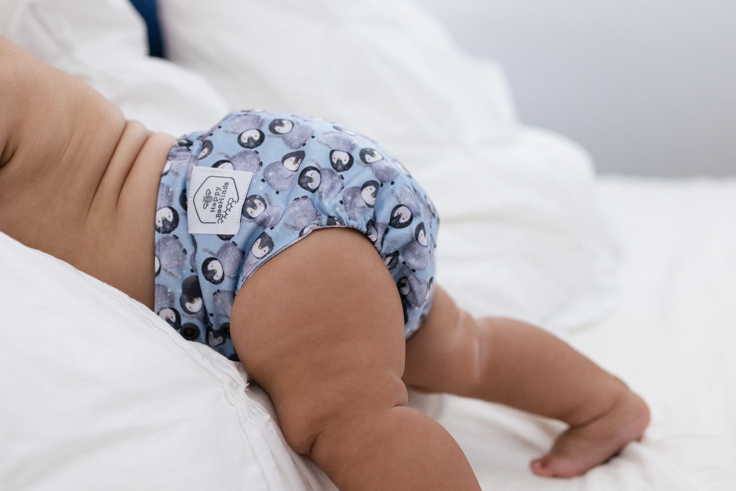 The "EZ" Pocket Diaper - Wintertide Collection