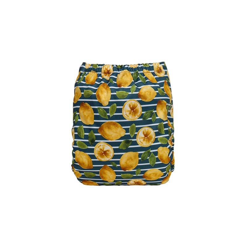 The "EZ" Pocket Diaper - Spring Fling Collection