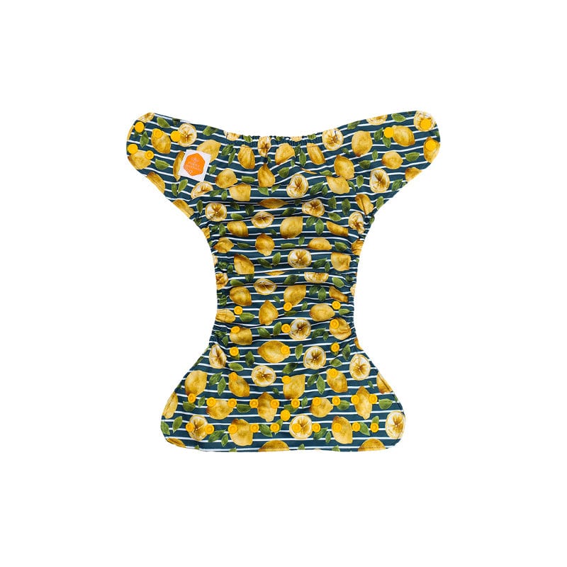 The "EZ" Pocket Diaper - Spring Fling Collection