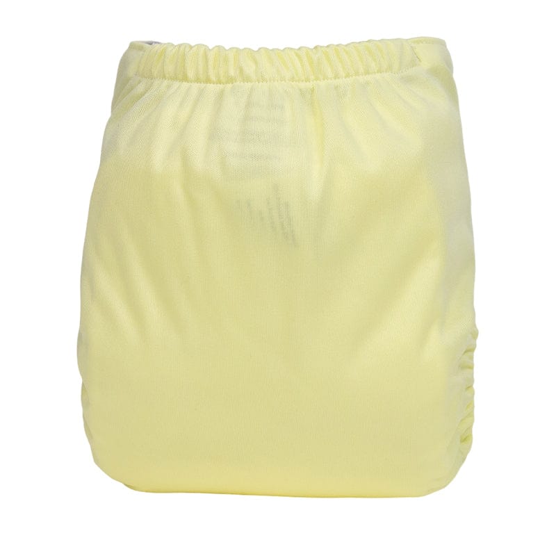 The "EZ" Pocket Diaper - Spring Fling Collection