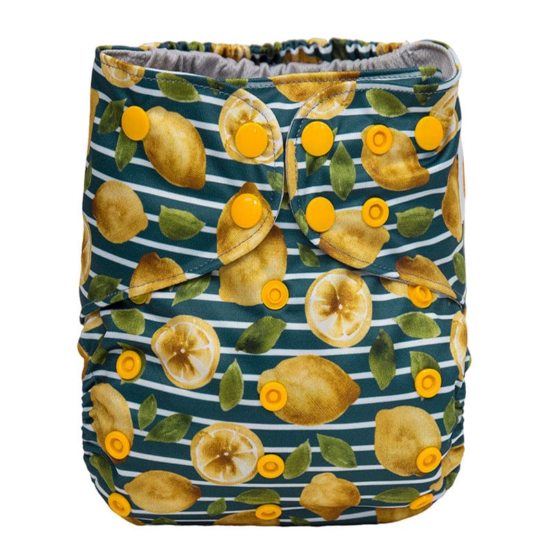The "Grande" Pocket Diaper - Spring Fling Collection