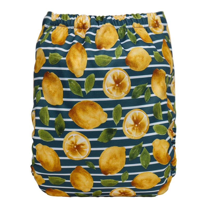 The "Grande" Pocket Diaper - Spring Fling Collection