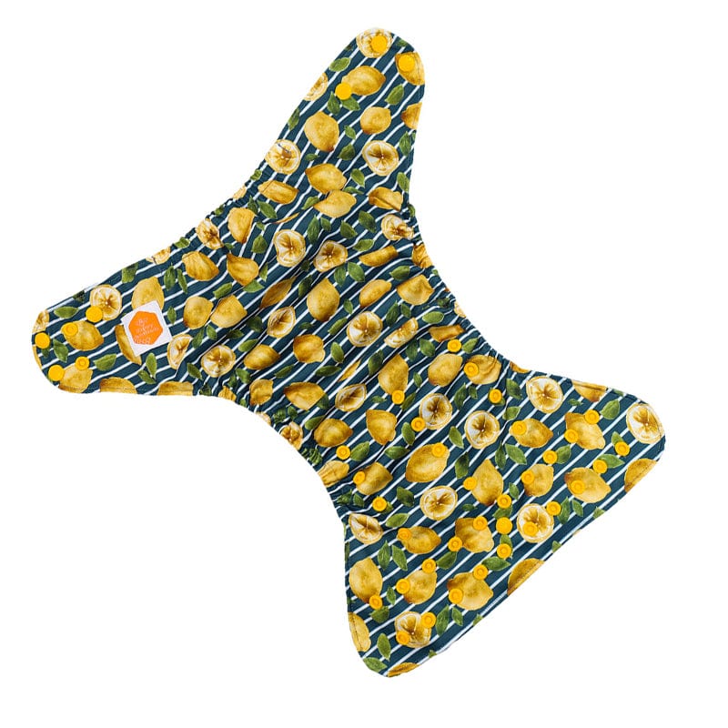The "Grande" Pocket Diaper - Spring Fling Collection
