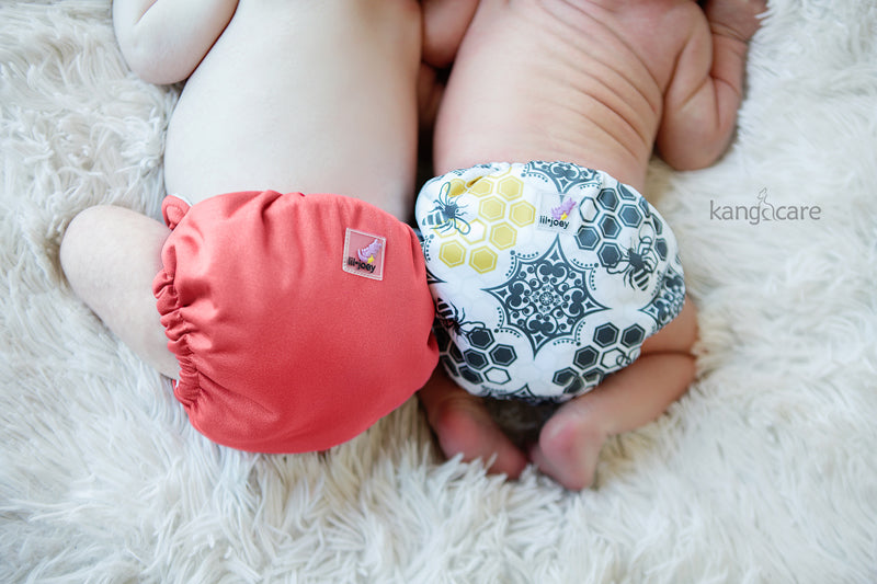 Lil Joey All In One Cloth Diaper (2 pk) - Spice