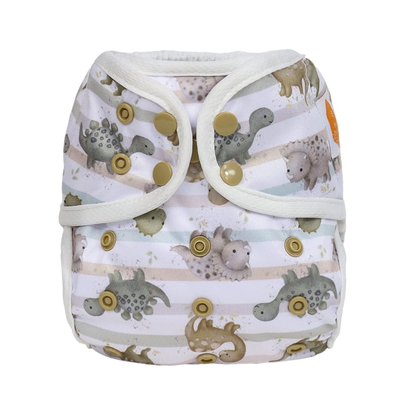 The "Bally" One Size Diaper Cover - Spring Fling Collection