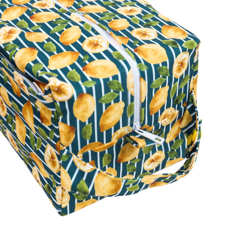 Diaper Pods - Spring Fling Collection