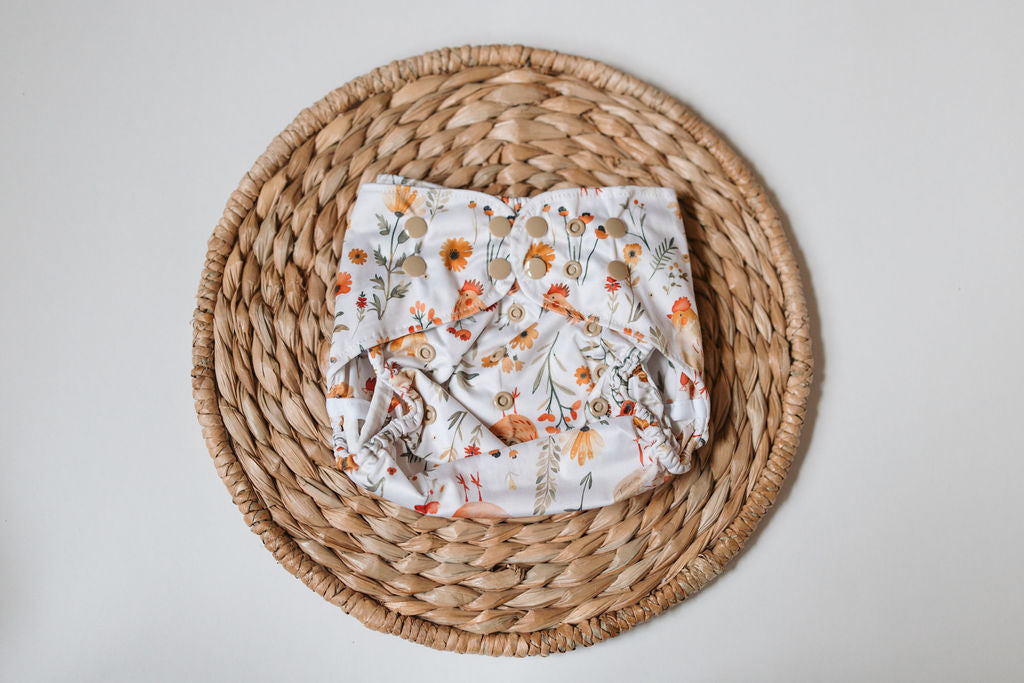 Biddy Reusable Cloth Diaper Cover