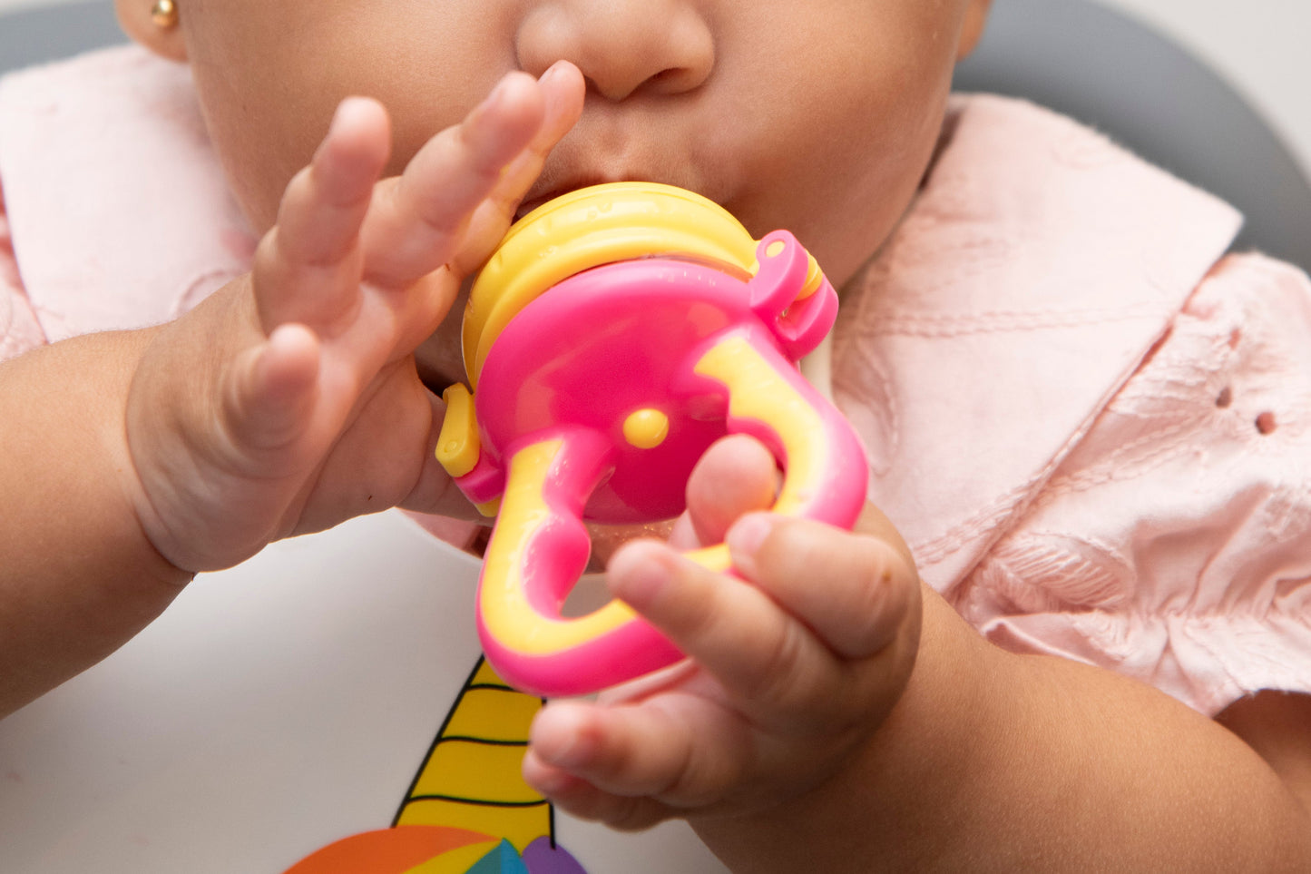 Primo Passi - Fresh Food Feeder, Pink